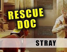 Image result for Stray CDOC