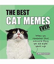 Image result for Latest Cat Memes