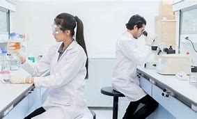 Image result for lab pictures
