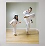 Image result for Taekwondo Advanced Kicks