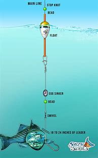 Image result for Multi Hook Fishing Rigs