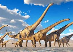 Image result for Largest Dinosaur Ever