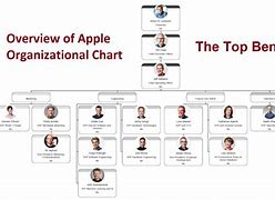Image result for Apple Human Capatail