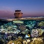Image result for Rosenthal School of Marine Science Tank