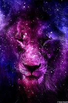 Image result for Lion Wallpaper iPhone Love