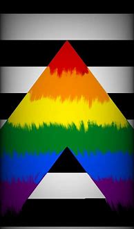 Image result for Straight Allies