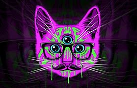 Image result for Hipster Cat Backgrounds