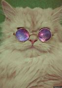 Image result for Grumpy Cat Galaxy