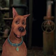 Image result for Scooby Doo Jeepers