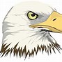 Image result for Free Eagle Clip Art Colorful