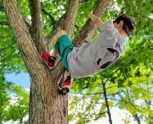 Image result for Climbing Photos