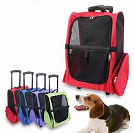 Image result for Aliexpress for Pets
