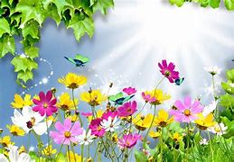 Image result for Animated Summer Flowers