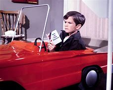 Image result for Butch Patrick Poster