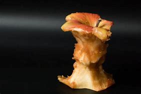 Image result for Rotten Apple Core Silhouette