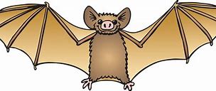 Image result for Old School Cartoon Bat
