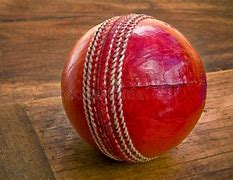 Image result for A Cricket Bat