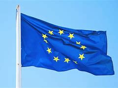 Image result for European Union Flag