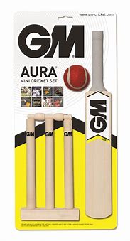 Image result for Mini Cricket Pitch Set