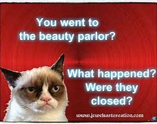 Image result for Monday Cat Meme