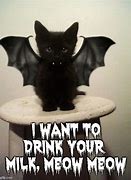 Image result for Cat with a Bat Meme