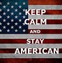 Image result for American Flag PFP Cool