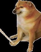 Image result for Doge Dog with Bat Meme