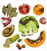 Image result for Vegetable Salad Rotten Cartoon