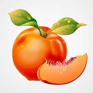 Image result for Peach Vector Clip Art