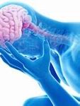 Image result for Brain Pain