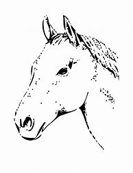 Image result for Horse Head Coloring Pages