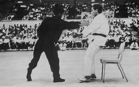 Image result for One Inch Punch in Real Fight