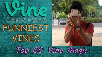 Image result for Funny Vines Collage