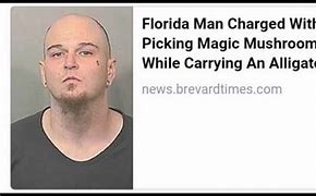 Image result for Florida Man Memes Clean