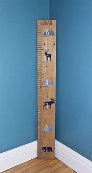 Image result for Measuring Stick Growth Chart