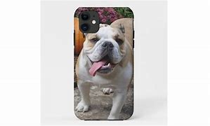 Image result for Apple iPhone 5 Bulldog Cases OtterBox