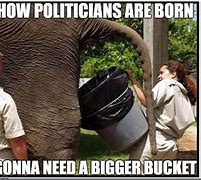 Image result for GOP Elephant Memes