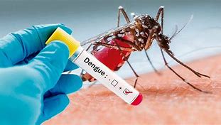 Image result for Dengue Hemorragico