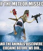 Image result for Meme Raptor Pics