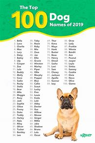 Image result for Great Boy Dog Names