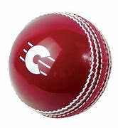 Image result for SwingBall Cricket