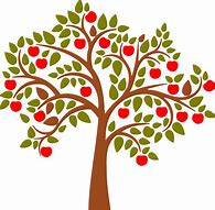 Image result for Mountain Apple Tree