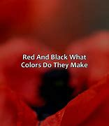 Image result for Red and Black Makes What Color