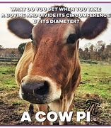 Image result for New Cow Meme