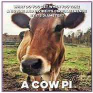 Image result for Mad Cow Meme