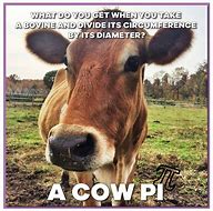 Image result for Cow Age App Meme