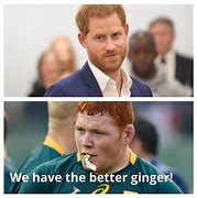 Image result for South African Rugby Memes