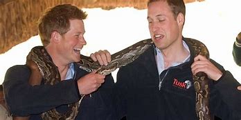 Image result for Prince Harry Funny Moments