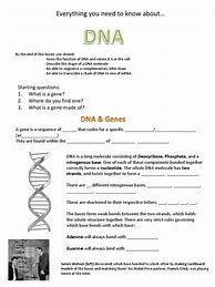 Image result for DNA and Genes Worksheet