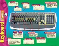 Image result for What Is the Difference Between Adult Keyboard and a Beginner Keyboard